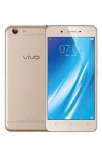 vivo Y25