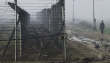 An Indian BSF soldier patrols near the fenced border with Pakistan amid fog in Suchetgarh