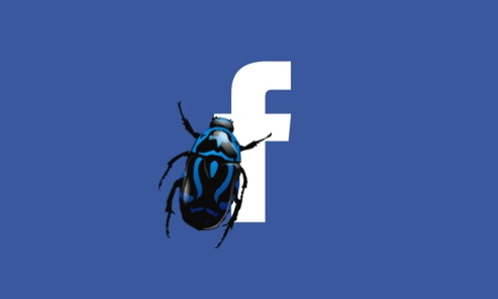 Facebook Profile With Insect A Facebook bug has unblocked people from 800,000 accounts