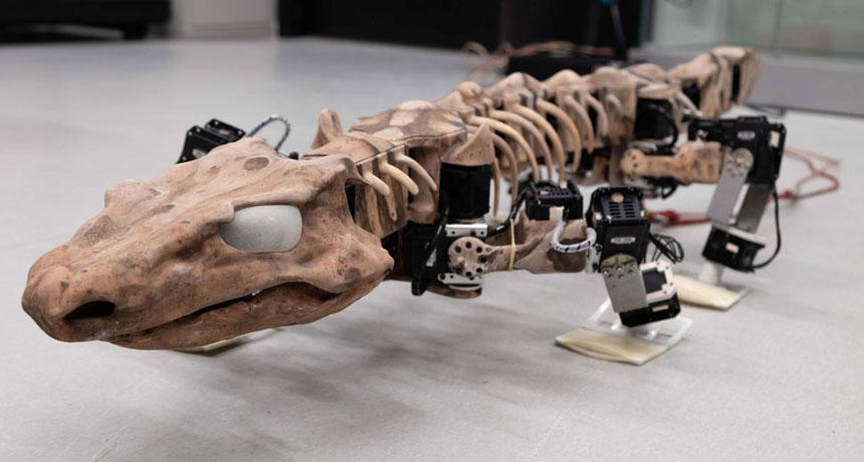 Researchers have made a lizard-like robot from a 280-million year old ...