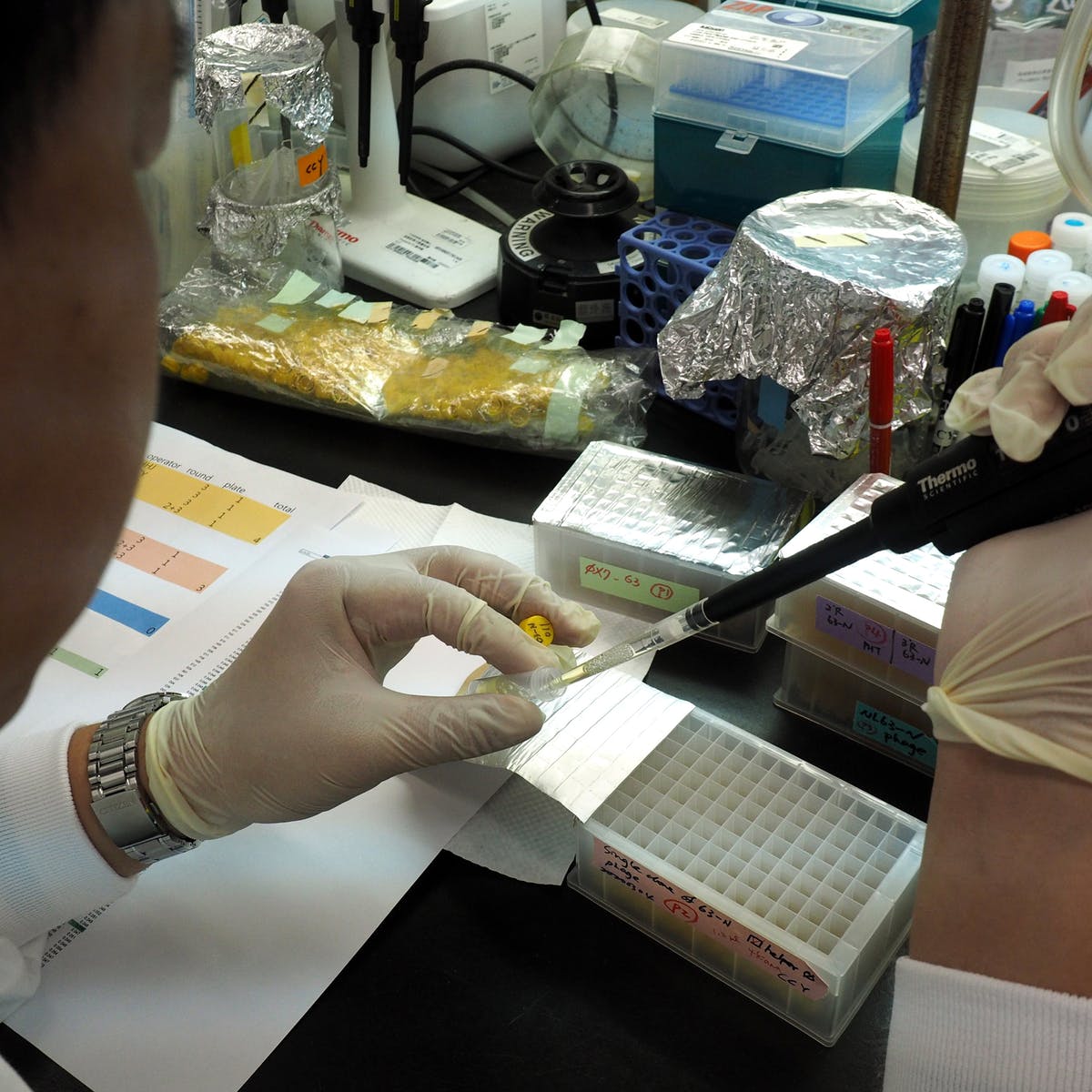 This new $1 antibody test could be the key to defeating COVID-19