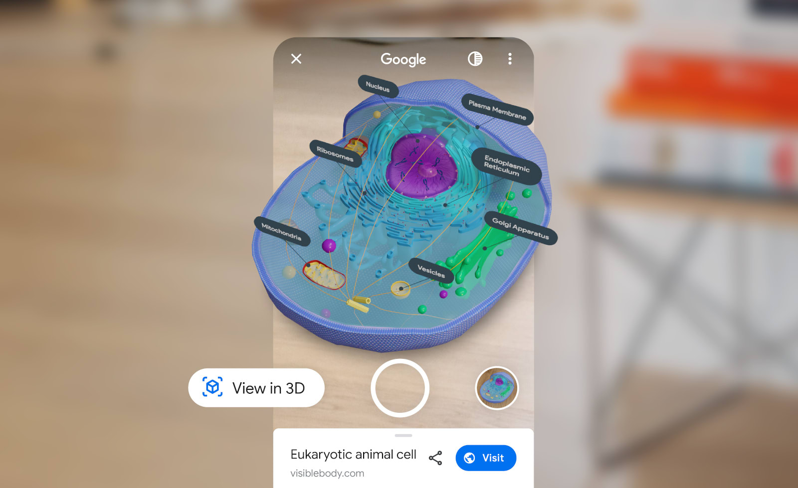 Google adds AR science lesson features to Search