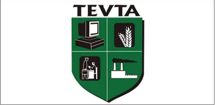 TEVTA-5-Online-Courses-TechJuice
