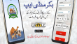 Bakar-Mandi-App-PITB-LDMMC-TechJuice