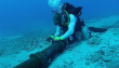Submarine Cable