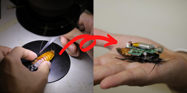 Environmental Monitoring