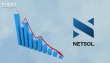 Netsol Technologies Pakistan Reports 79 Decline In H1 2024 Net Profit