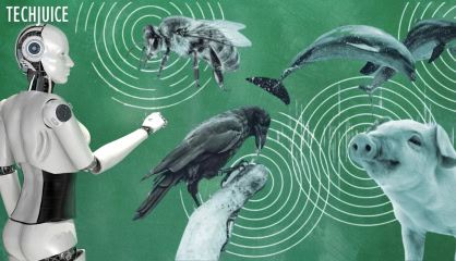 Researchers Train Ai To Interpret Animal Emotions Achieving 88 Accuracy In Pain Detection