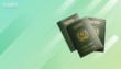 Pakistan Installs New E-Printers to Double Passport Processing Speed