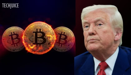 Bitcoin Soars To 82k As Trumps Tariff Pause Sparks Crypto Market Rally