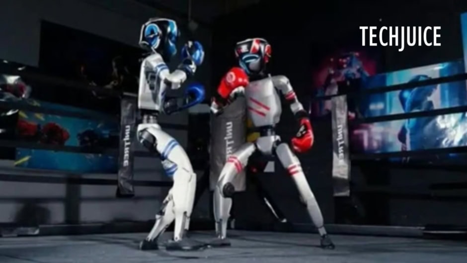 China Hosts Worlds First Humanoid Robot Boxing Match