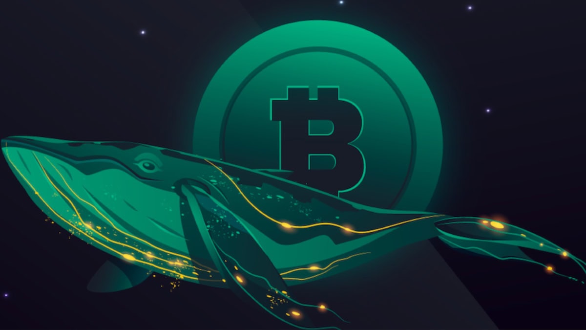 Bitcoin Whale Moves 500 BTC to Binance After February Purchase
