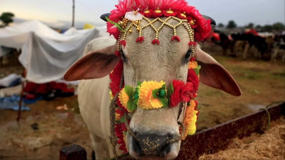 Eidul Azha 2025 Date In Pakistan Likely Confirmed