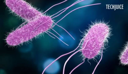 Experts Warn Of Deadly Super Typhoid Spread