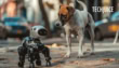 Hungary Introduces Robot Dog To Teach Kids Animal Welfare