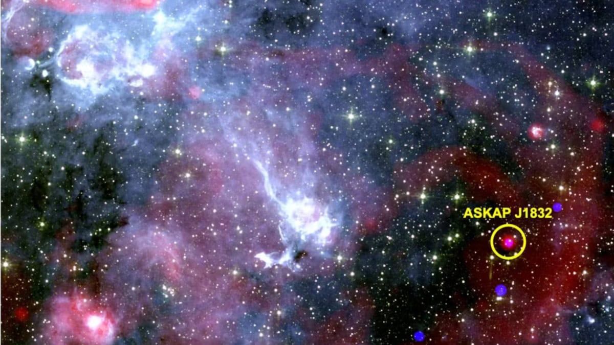 Star Examples Radiography Mysterious Star Emitting Radio Waves and X-Rays Discovered