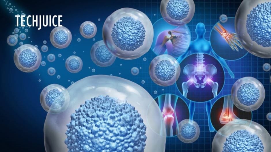 Thanks To Science Your Body Organs May Self Repair Soon