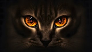 A Spyware Is Stealing Your Private Photos And You Mightve Helped It