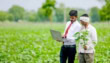 Govt Launches Digital Loans For Farmers In Pakistan