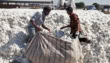 Govt Withdraws Sales Tax Exemption On Imported Cotton Yarn