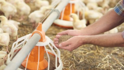 New Taxes On Mutual Funds And Poultry Announced In Budget 2025 26