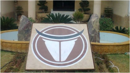 Tomcl Becomes First Pakistani Exporter Of Beef Casings To Europe