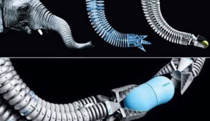 University Of Hong Kong Develops Flexible Drone Arm Inspired By Elephant Trunk