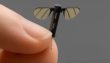 China Shocks World With A Mosquito Sized Micro Drone For Recon