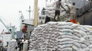 Drop In Global Prices Hits Pakistans Rice Export Revenue