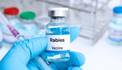 Pakistan Develops First Indigenous Anti Rabies Vaccine