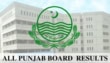 Punjab Boards Class 10th Result 2025 Announced Heres How To Check