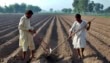 Sindh Farmers Vow Court Battle Against 45 Agricultural Income Tax