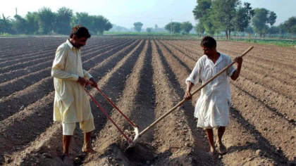 Sindh Farmers Vow Court Battle Against 45 Agricultural Income Tax