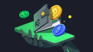 Best 5 Crypto Wallets Of 2025 In Pakistan Top Picks For Usability