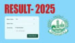 Bise Faisalabad Class 9 Result 2025 Declared