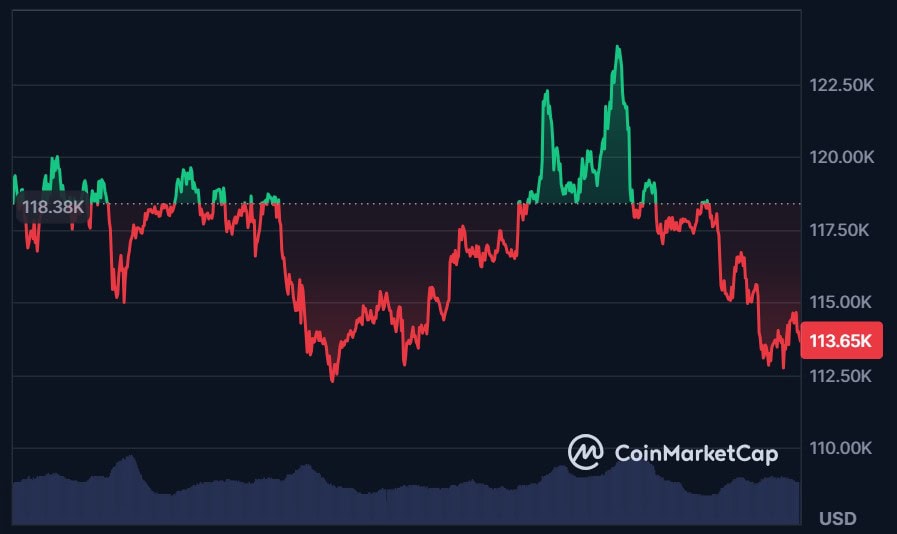 Bitcoin Holds Steady Near 113k Solana Dogecoin Lead Gains 