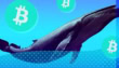 Bitcoin Whale Migration Triggers Shocking Btc Drop To 112000