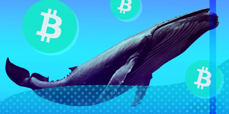 Bitcoin Whale Migration Triggers Shocking Btc Drop To 112000