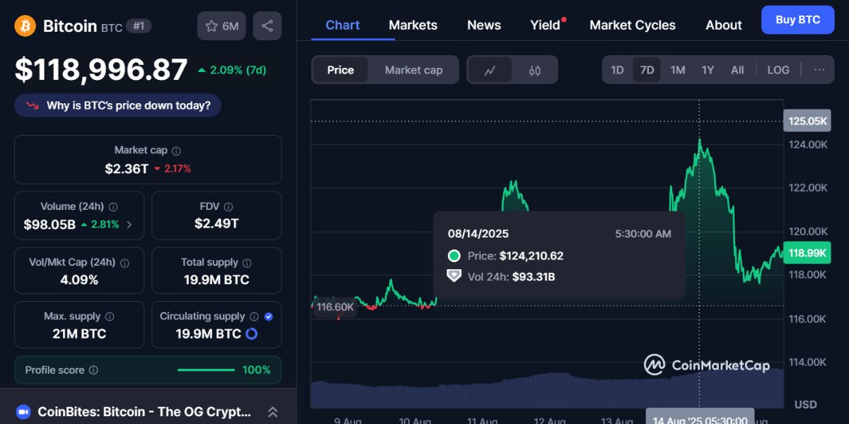 Bitcoins Wild Ride Soaring To 124k Before Setting Back Down 
