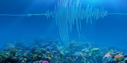 Earthquakes Act Like Batteries To Power Life Deep Underground Study Finds