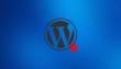 Hackers Exploit Critical Wordpress Theme Flaw Worldwide