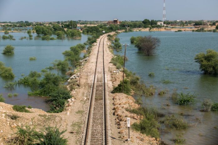 Nepra Directed To Oversee Flood Damaged Infrastructure Restoration