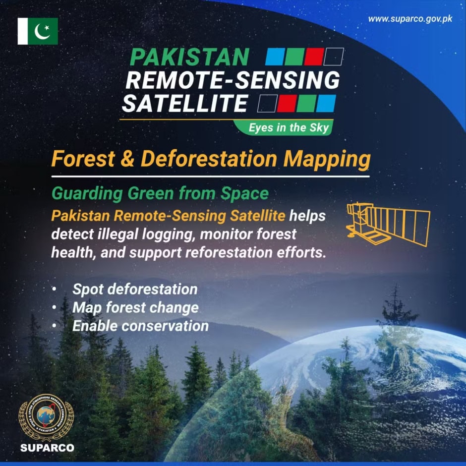 Sensing Satellite Forest Protection