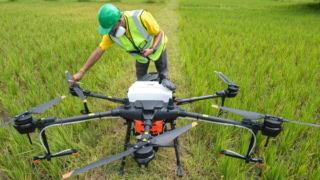 Punjab Turns To Satellite Crop Data To Resolve Cultivation Disputes