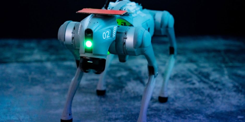 Scientists Successfully Use Lab Grown Brain To Control Robot Dogs
