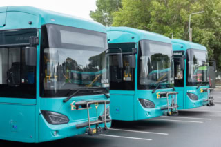 Electric Busses