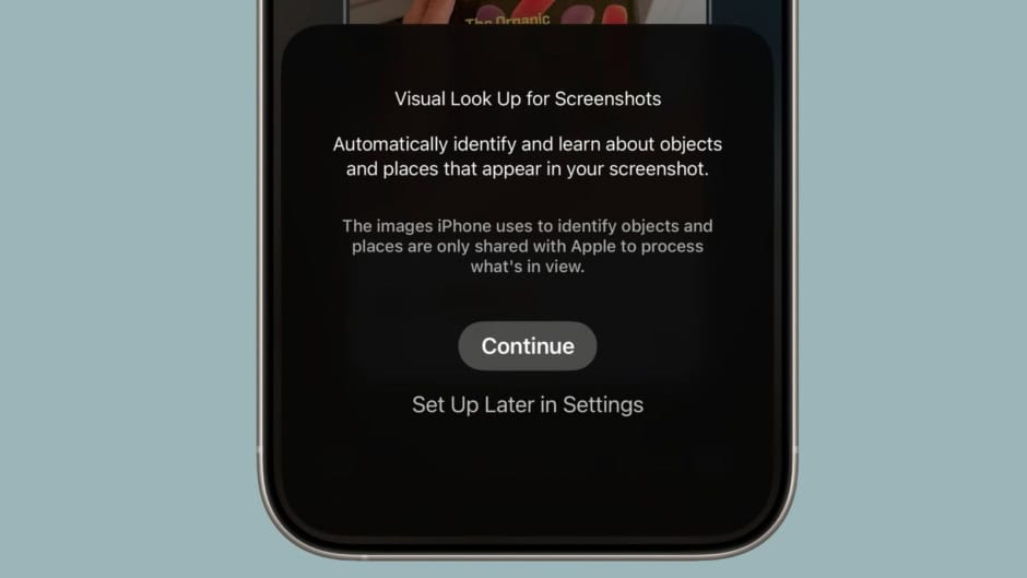 iOS 26 Visual Intelligence