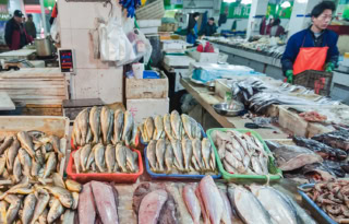 Pakistan Seafood Exports Aim For 600m With China Partnerships