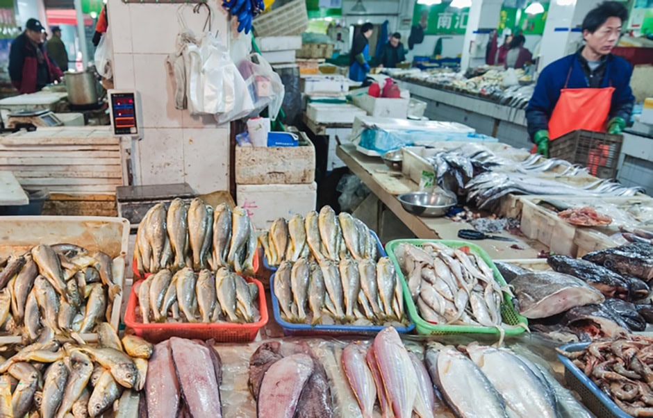 Pakistan Seafood Exports Aim For 600m With China Partnerships