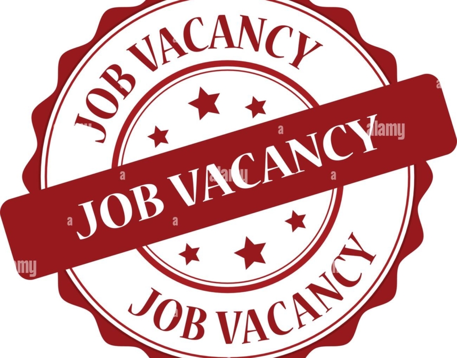 Punjab Education Foundation Announces 100 Jobs With Salaries Up To Rs 200000